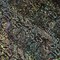 1 Yard Snake Flocking Glitter Hologram Nylon Spandex Fabric for Performance Wear, DIY Projects 60 Inch Width